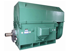 YKK7107-10Y系列6KV高压电机